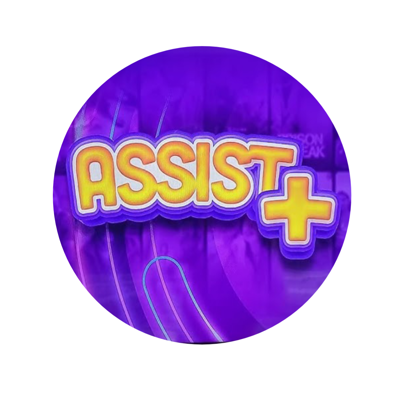 ASSIST PLUS